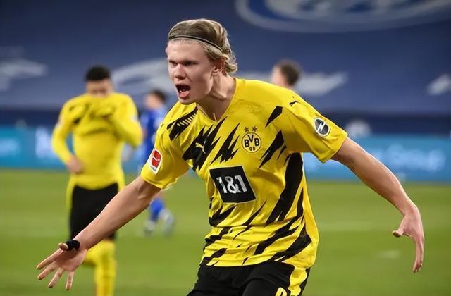 群体优势 群体优势